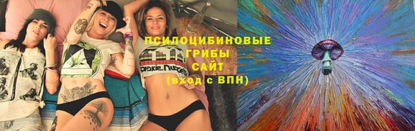 мет Елабуга