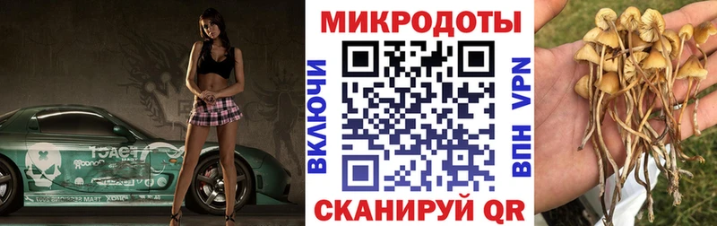 продажа наркотиков  Вилючинск  Галлюциногенные грибы Cubensis 